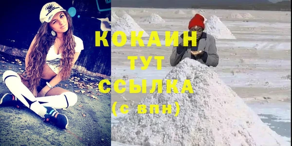 гидра Медвежьегорск