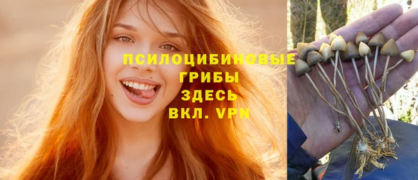 гидра Медвежьегорск