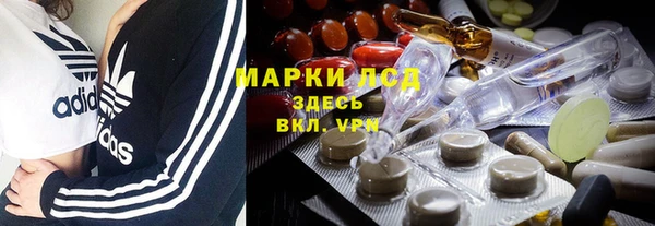 гидра Медвежьегорск