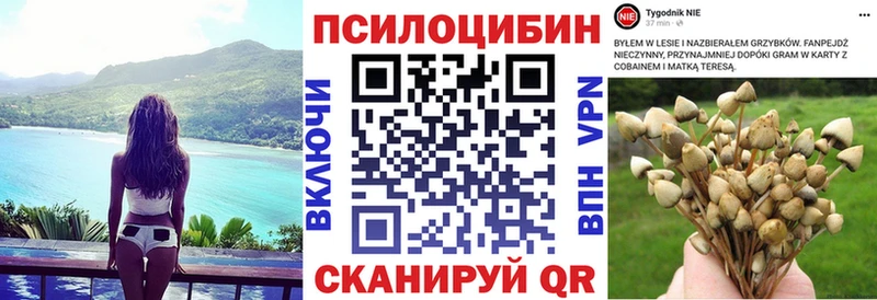 Псилоцибиновые грибы Cubensis  Элиста 